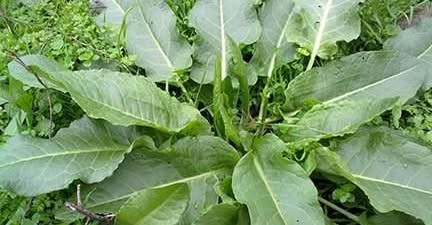 10588895273837605204?url=https%3A%2F%2Fmediahub.am%2Fuploads%2Fimages%2F2025%2F08%2Fimage 750x 4tszM.jpg