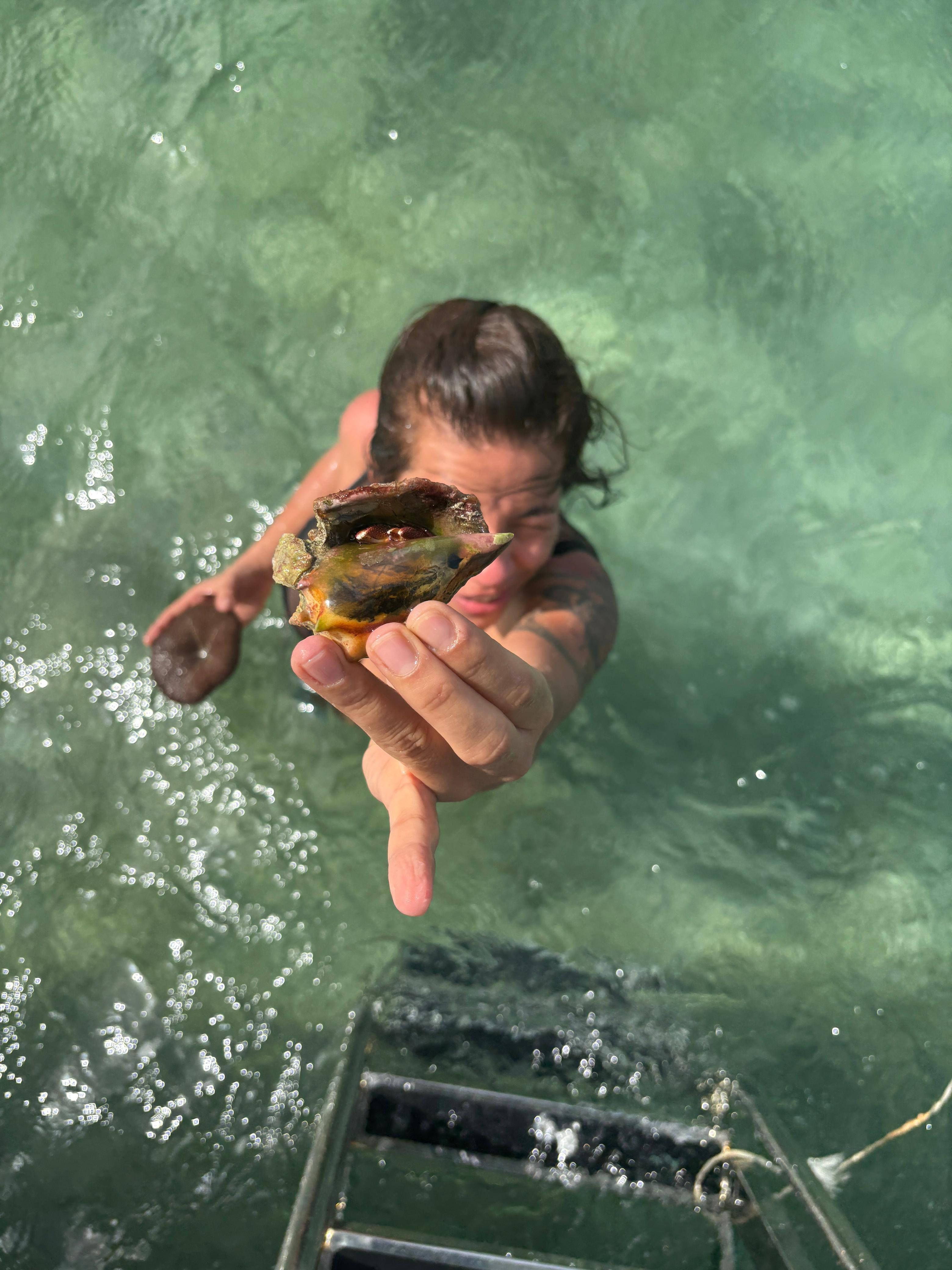 IMG-20250809-WA0000.jpg Media Luna, Bahía de Samaná, República Dominicana