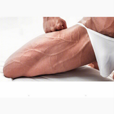 Veins1 037