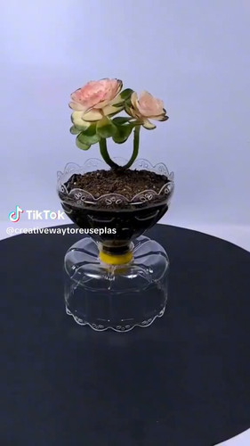 KQ HY2rOQYiwSJlG.jpg