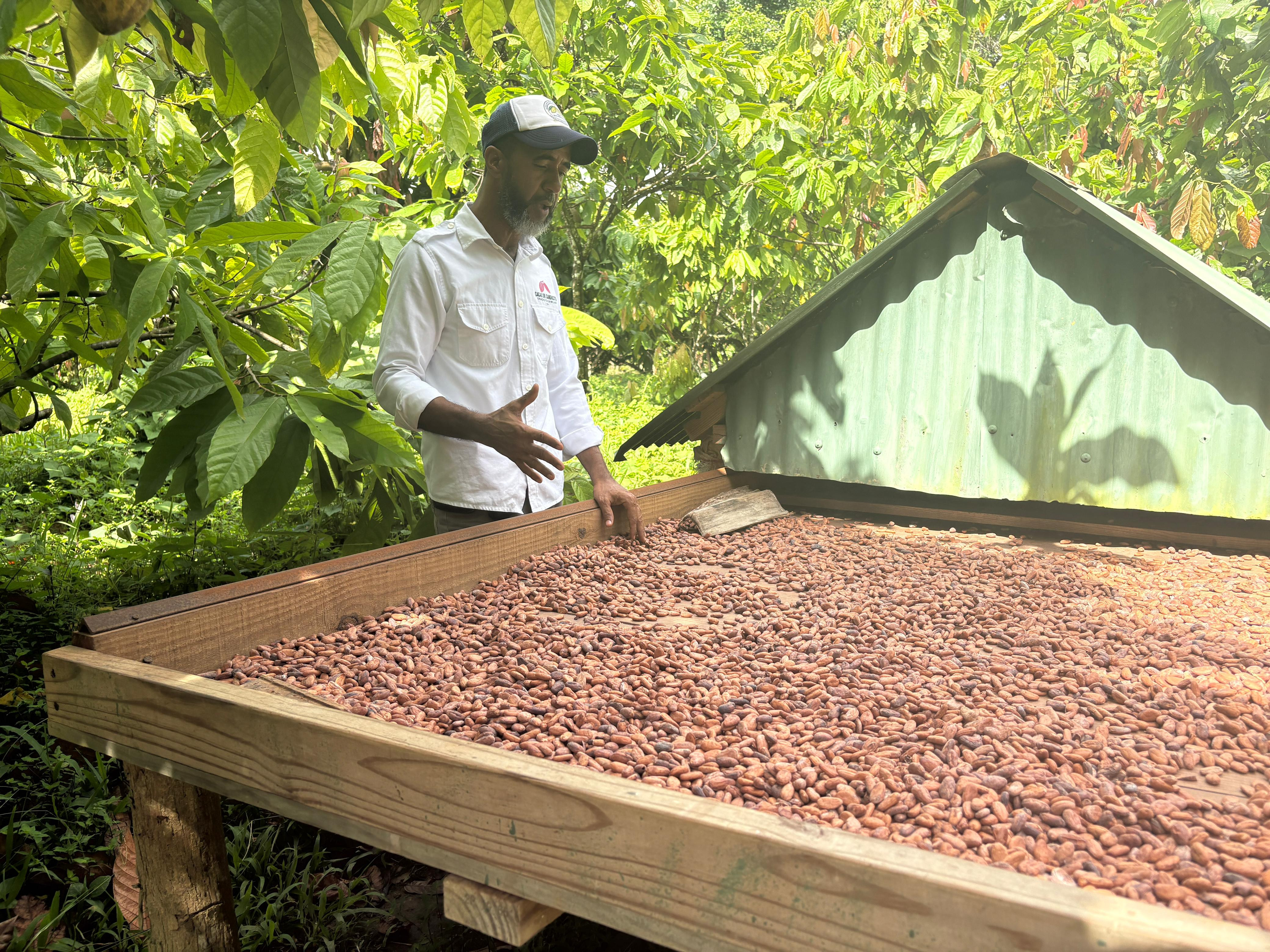 IMG-20250727-WA0388.jpg IMG-20250727-WA0388.jpg