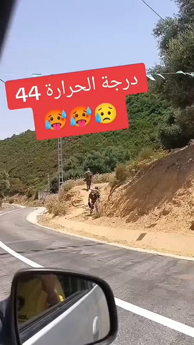 f16aICeyVY28Mome.jpg