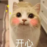 5b36a553b2fb2bc500f362f355a3ff54903bbc739bdfafb4f9633f44bba63cef.0