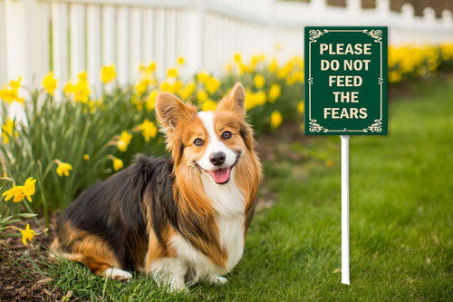 please do not feed the fears 43.png