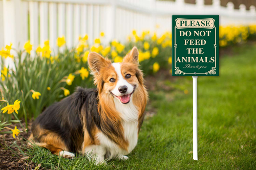 please do not feed the animals thank you 43.png