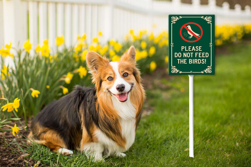 please do not feed the birds 001 43.png