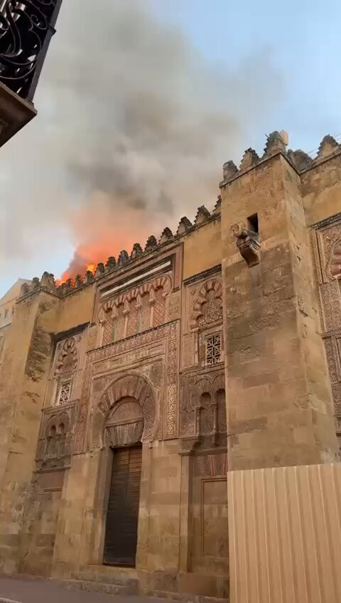 7bI0mVw9NuS juUe.jpg