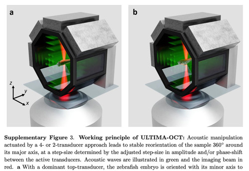 Gx3YbOEXYAA bXX?format=jpg.jpg
