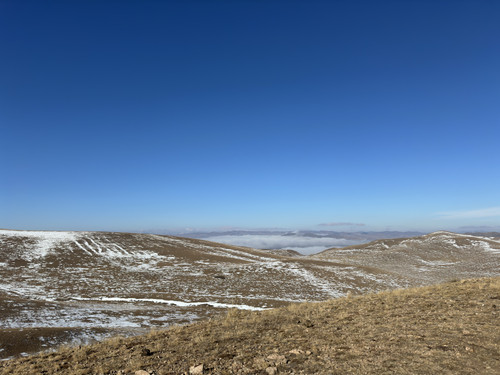 IMG 8158.jpg