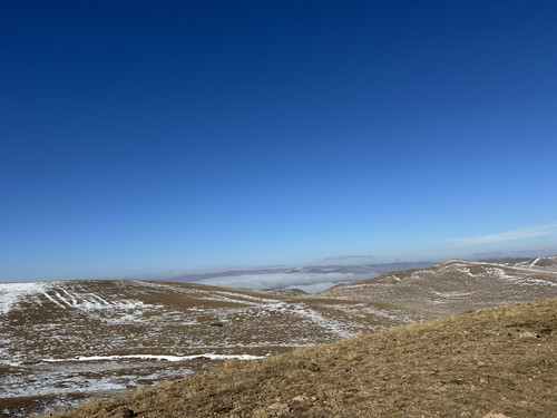 IMG 8157.jpg