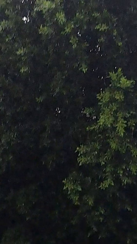 0e FFS2VTH 0lwad.jpg