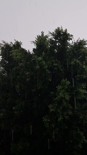 J sRk 3Ihzz07N6N.jpg