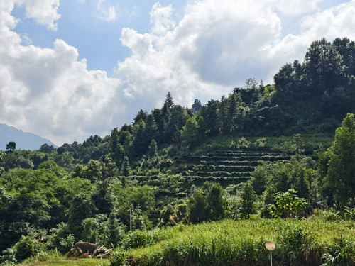 IMG 20250809 154659.jpg