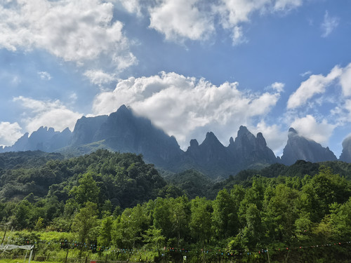 IMG 20250809 154604.jpg