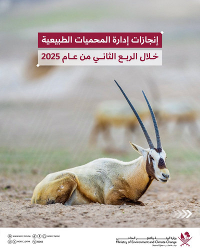 Gx0 UUdaQAAJB04.jpg