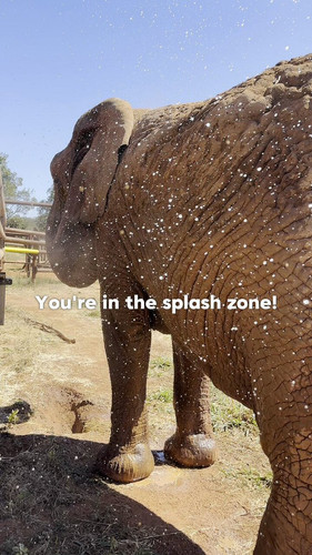 jOT7l y5T8HcMTZk.jpg