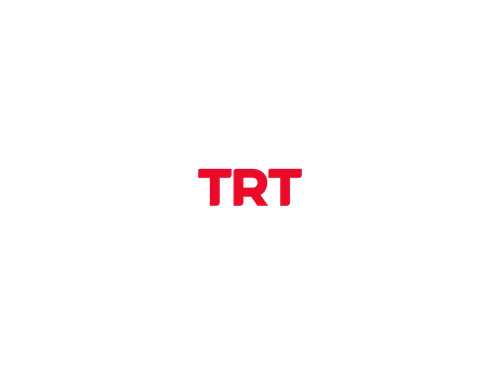 trt.png