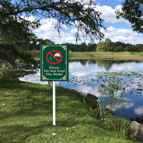 please do not feed the birds 002 51.png