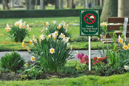 please do not feed the birds 002 126.png