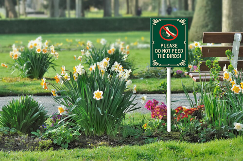 please do not feed the birds 001 126.png