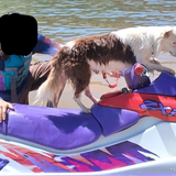 2025 08 08 0yr Kleki.png