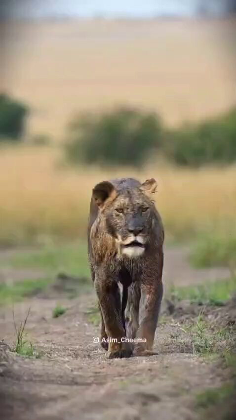 npQ2h29K eOHEpUg.jpg