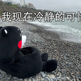 1b3dc554d482d76fce5c48ff8c136cd723c922c3867af6fd7bf382588c576be7.0