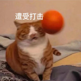 82a622195e6834678fbf75e2fd570ffd