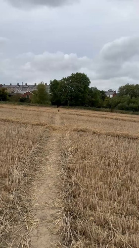 kqMfMLvjaUMXn0t .jpg