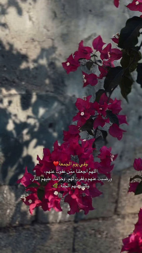 iiM xjs1F2 UMaAT.jpg