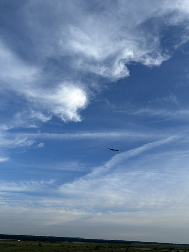 IMG 4641.jpg