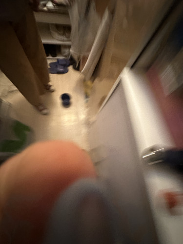 IMG 4944.jpg