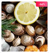 Group 1000004661.png