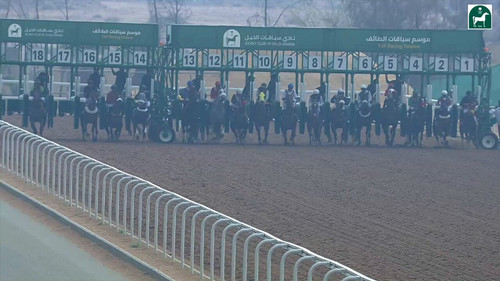 3woeiaknbxLYm 9a.jpg