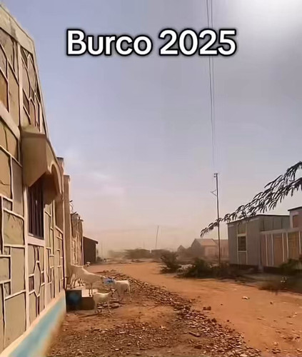 JMfaRqZT CxFsAmn.jpg
