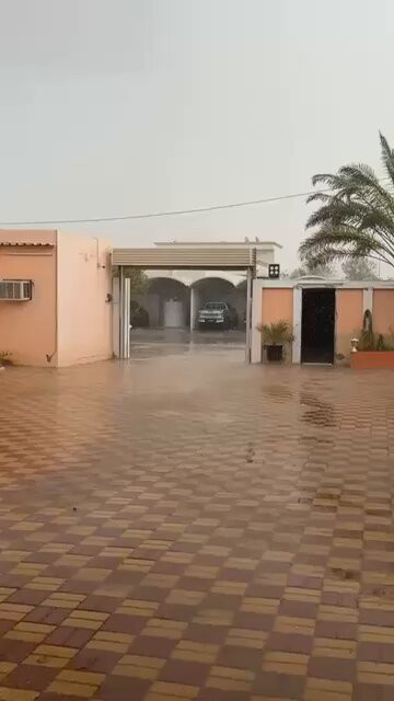 7bX3o9D7y GW6djA.jpg