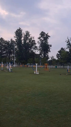 Cyl4pdij6jzW P8F.jpg