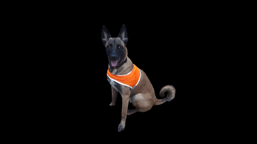 IMG 20191220 WA0006 Photoroom.png