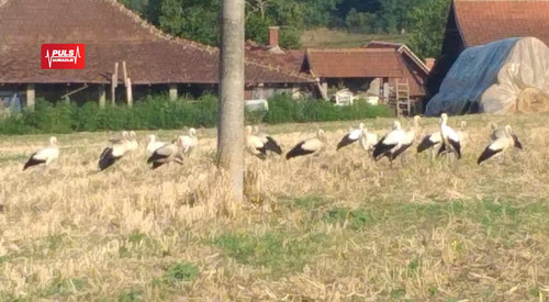 COVER ZA VESTI (79).jpg