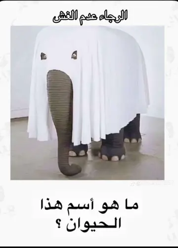 temp image 44AD327E 5081 42B2 91DD 23EAC24C8E7E.webp