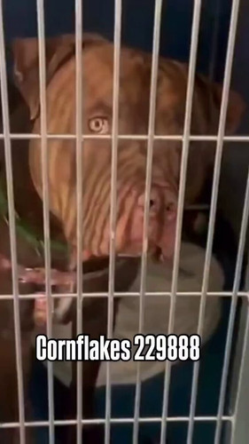 QSsv09M5oDUimLD .jpg