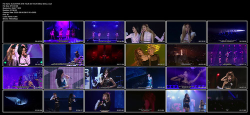 BLACKPINK 2018 TOUR [IN YOUR AREA] SEOUL.jpg