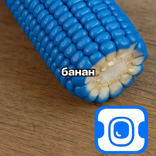 source.jpg