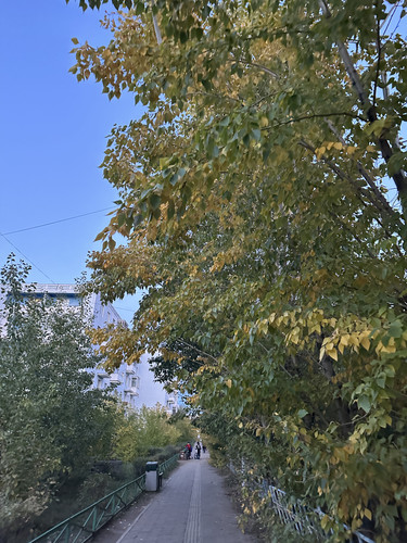 IMG 5726.jpg