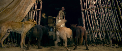 vlcsnap 2025 08 09 15h54m47s445