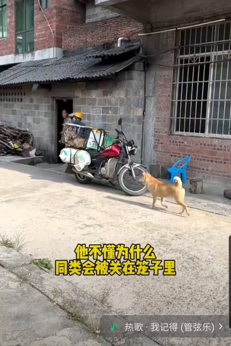 ly YIXc fG74UO3P.jpg