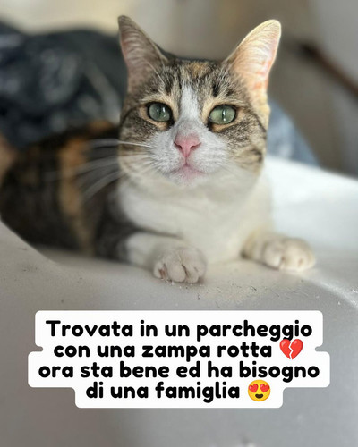 Gx2MEDQWgAAbhDX.jpg