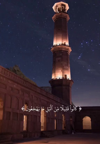 VN d4srlmePyL eh.jpg