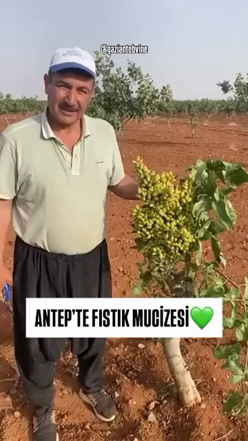 ueyxtup89tZQqhrV.jpg