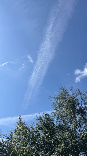 ycLebIQ neNDS5f2.jpg